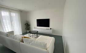 Modern Green & White - Apartments T3 60M2 Annecy - Parking Prive - Wifi - Netflix