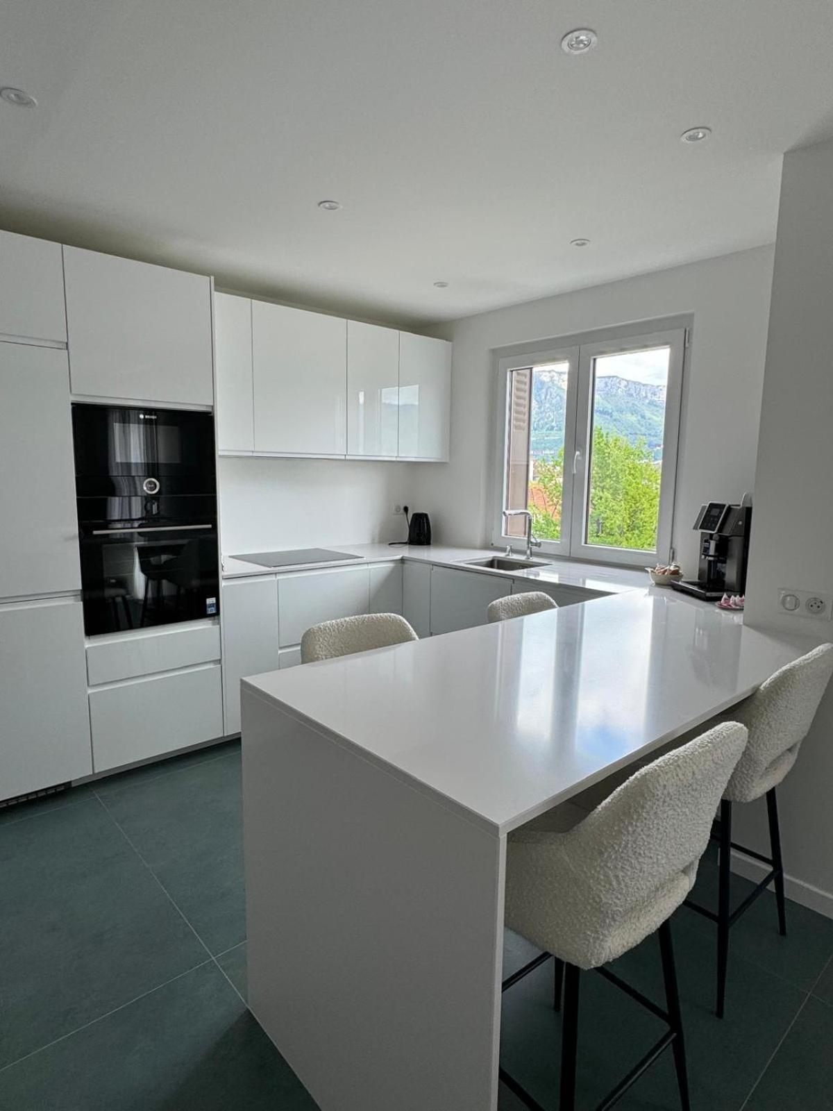 Modern Green & White - Apartments T3 60M2 Annecy - Parking Prive - Wifi - Netflix Extérieur photo